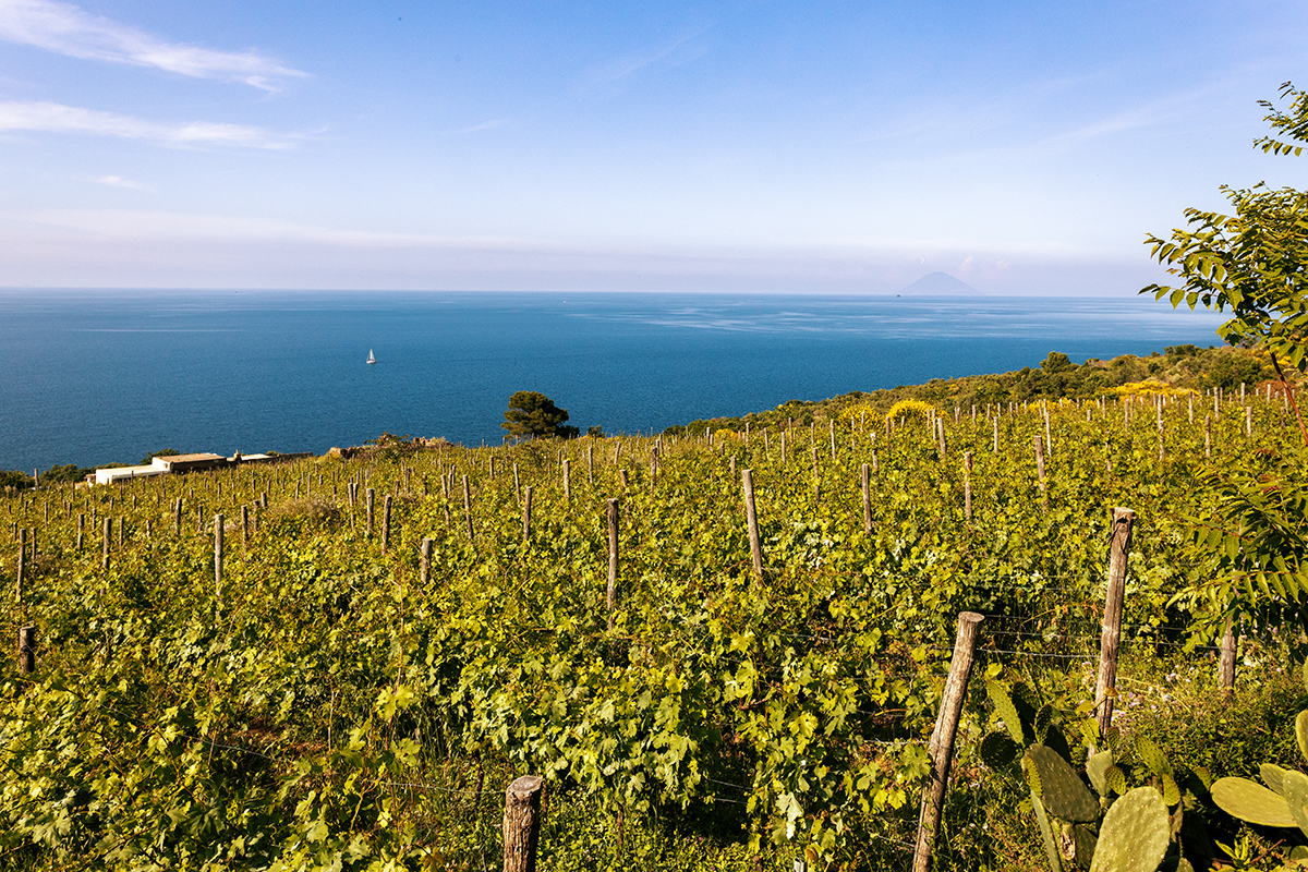 Vigneti Caravaglio con vista su Stromboli